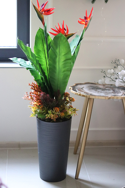 oryginalna kompozycja Strelicja Genassa Red, wym.145cm