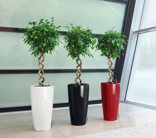 Rondo, wysoka donica z nawadnianiem, czerwona, wym.75x40cm