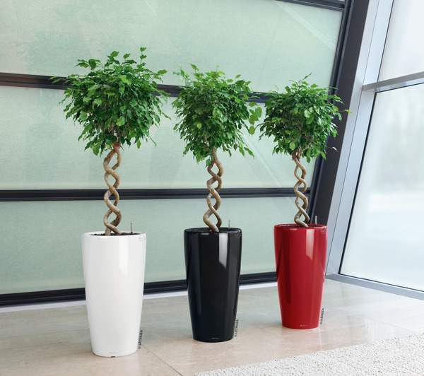 Rondo, wysoka donica z nawadnianiem, czerwona, wym.75x40cm