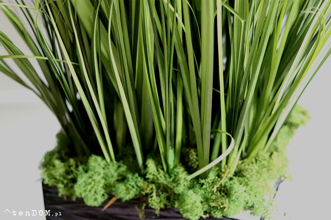 Amaro Saute 2, kompozycja we wkładzie florystycznym, wys.104cm