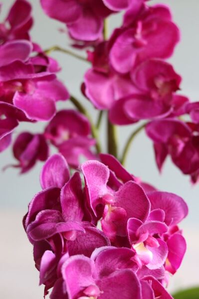 sztuczny storczyk w naczyniu glamour, Fuksja Manfredo Helga, wys.48cm