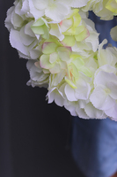 Hortensja Biella White, wianek na drzwi lub stół, śr.30cm 