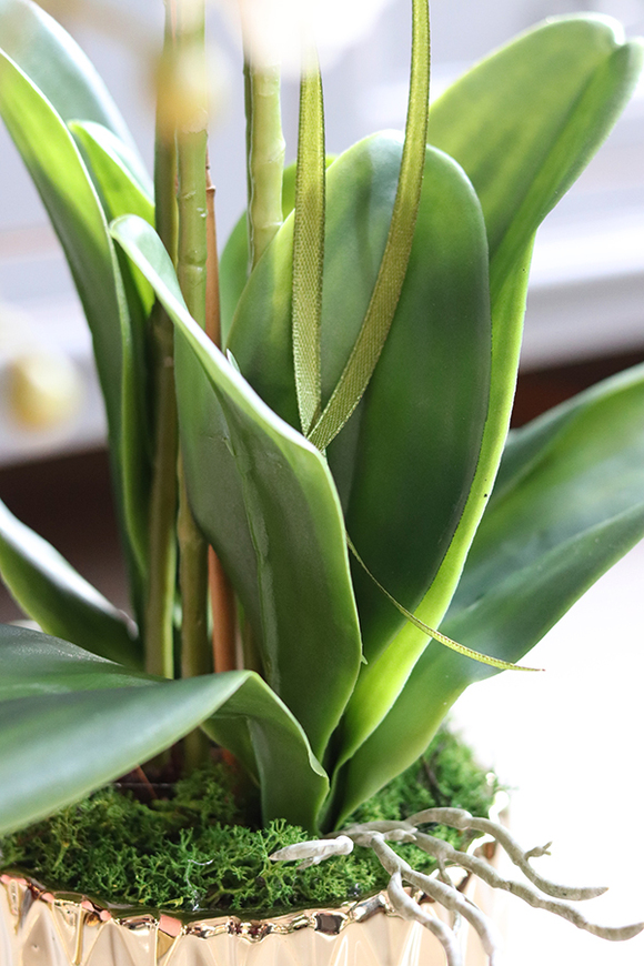 storczyk sztuczny w złotej donicy