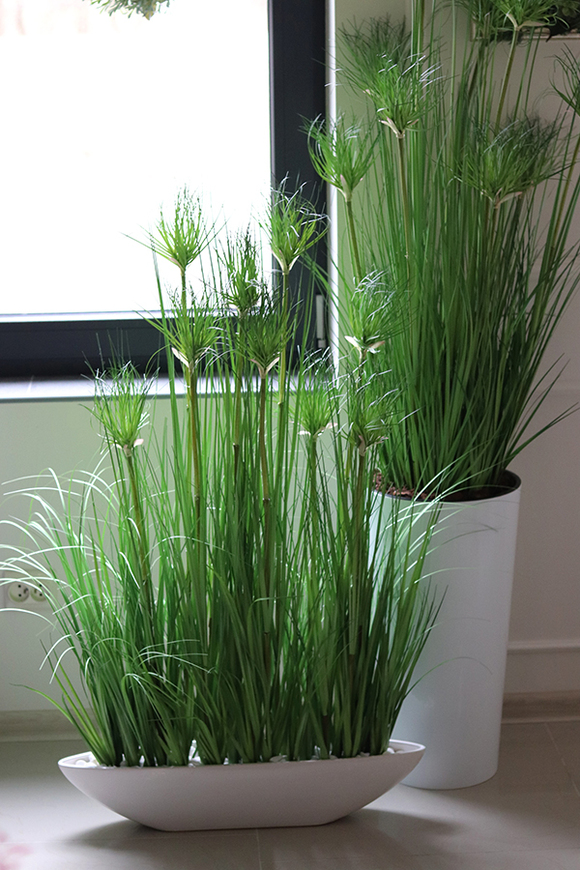 efektowna kompozycja ze sztucznych traw, Papirus Ordonia Laos, wys. 115cm 