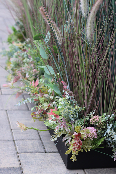 Albertina Saute, kompozycja z traw i sukulentów w gąbce florystycznej, dł.1m, wys.135cm