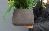 Grey Deluxe, storczyk w wysokiej jakości ceramicznej donicy, wys.66cm