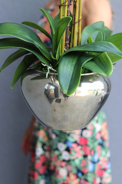 Ungaro, sztuczny storczyk w lustrzanej donicy, wys.84cm 