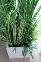 kompozycja Trawy IV Minimalism w białej donicy, wys.110cm