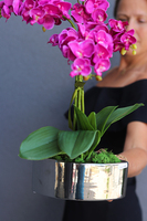 sztuczny storczyk w naczyniu glamour, Fuksja Manfredo Helga, wys.48cm