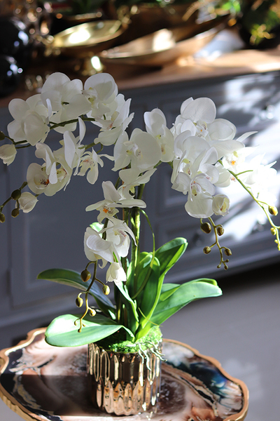 sztuczny storczyk w złotej donicy