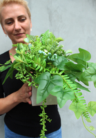 komplet 2 kompozycji w betonowych donicach z sukulentami Renno, wys.30cm