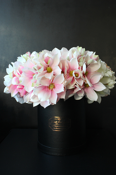 kompozycja kwiatowa / bukiet Flowerbox magnolia + czerń wys.50cm