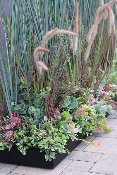 Albertina Saute, kompozycja z traw i sukulentów w gąbce florystycznej, dł.1m, wys.135cm