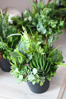 Granello, atrakcyjna kompozycja z sukulentów, wys.34cm