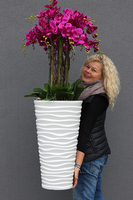 Gizelle Grande 2, wysoki sztuczny storczyk w kolorze fuksji, wys.135cm