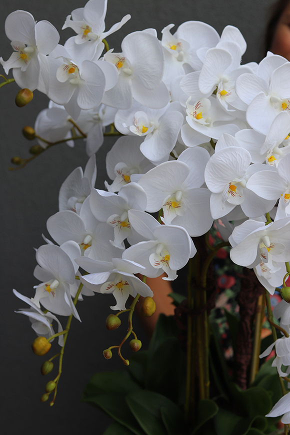 Ungaro, sztuczny storczyk w lustrzanej donicy, wys.84cm 