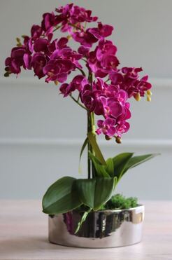 sztuczny storczyk w naczyniu glamour, Fuksja Manfredo Helga, wys.48cm