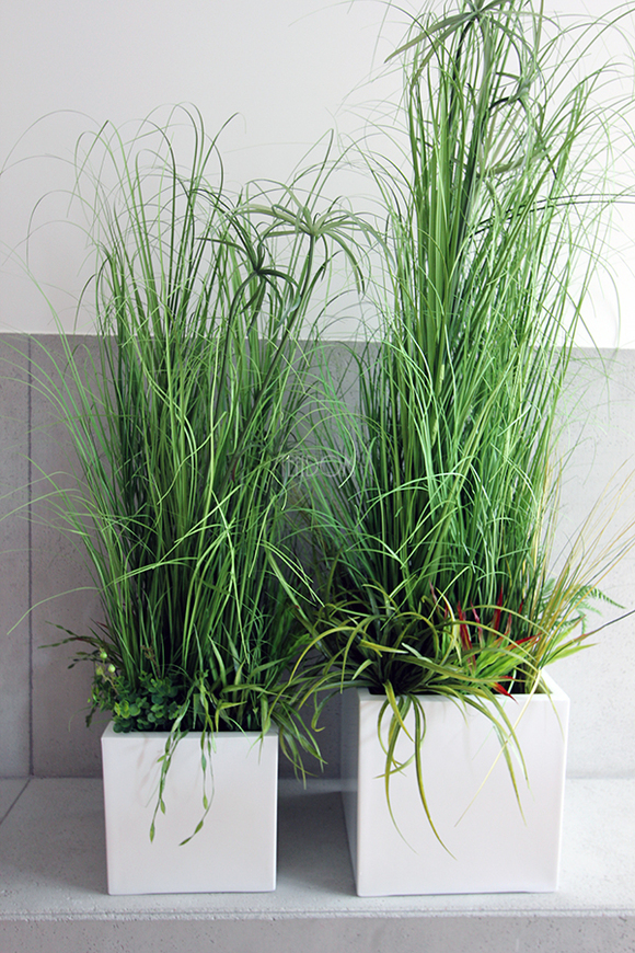 kompozycja Trawy IV Minimalism w białej donicy, wys.110cm