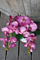 sztuczny storczyk Restretto w kolorze ciemnego brudnego różu, wys.60cm