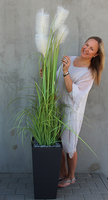Primadonna, sztuczna trawa w grafitowej donicy, wys.185cm