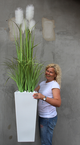 Delano, kompozycja w białej donicy z trawami, wym.196cm