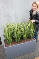 dekoracja Trawy Fiberglass Grande Grey w prostokątnej donicy, wys.110cm