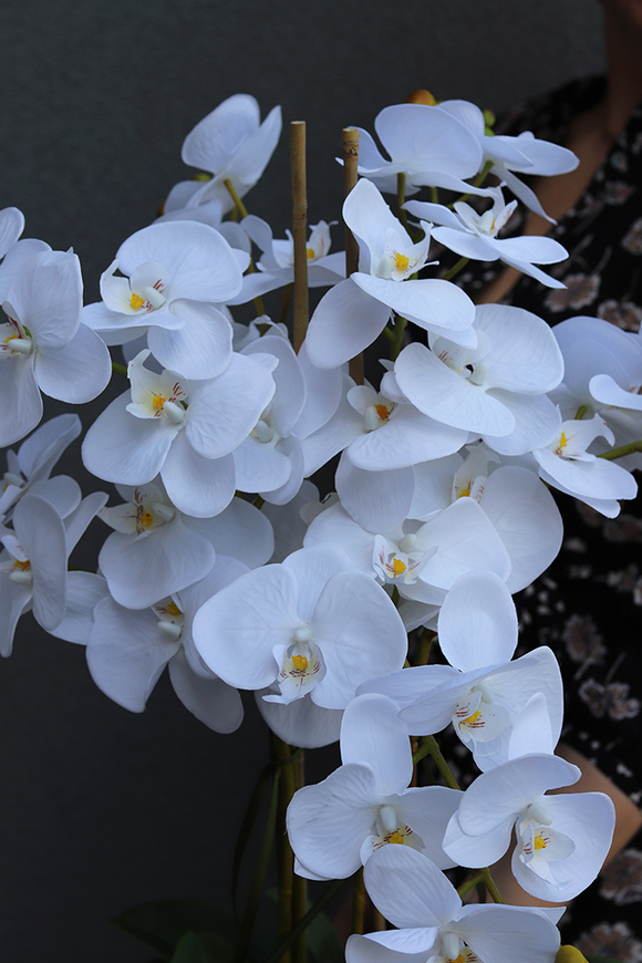 Naomi, elegancki storczyk glamour w lustrzanym naczyniu, wys.78cm