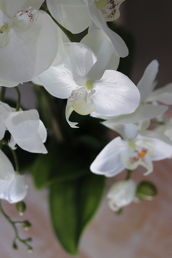 Filano Silver, sztuczny storczyk w srebrnej donicy, wys.60cm