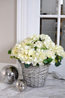 bogaty kosz z kremowymi hortensjami Provance 48x48cm  