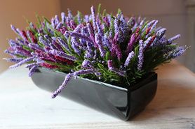 Wrzosy Duo, kompozycja kwiatowa w czarnej donicy 1szt., wys.44x17cm 