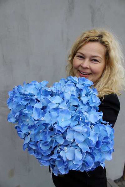 bukiet błękitnych hortensji Niebo, dł.70cm