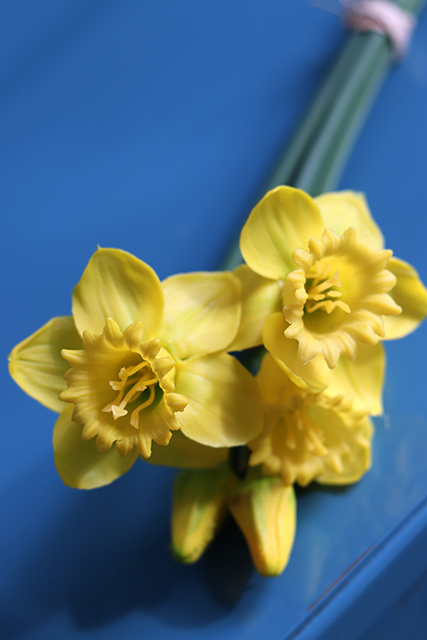 bukiet silikonowych wiosennych żonkili