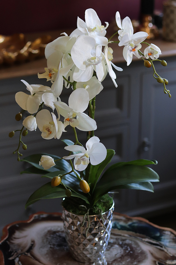 Filano Silver, sztuczny storczyk w srebrnej donicy, wys.60cm