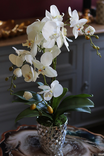 Filano Silver, sztuczny storczyk w srebrnej donicy, wys.60cm