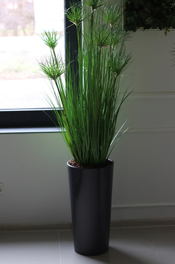 efektowna kompozycja ze sztucznych traw, Papirus Ordonia, wys.164cm