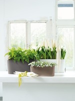 Delta 10, podłużna donica z nawadnianiem, taupe, wym.13x30x11cm