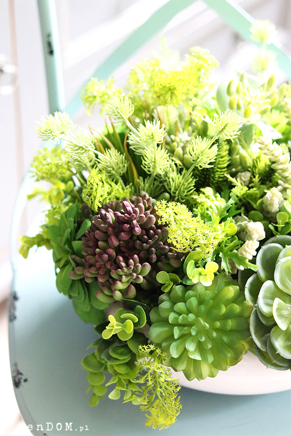 Encarna Gerrano, kompozycja sukulenty w białej misie, wym.25x35cm