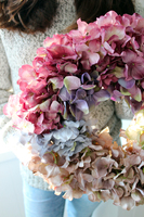 Stonowana Hortensja 2 wianek na drzwi, śr. 34cm