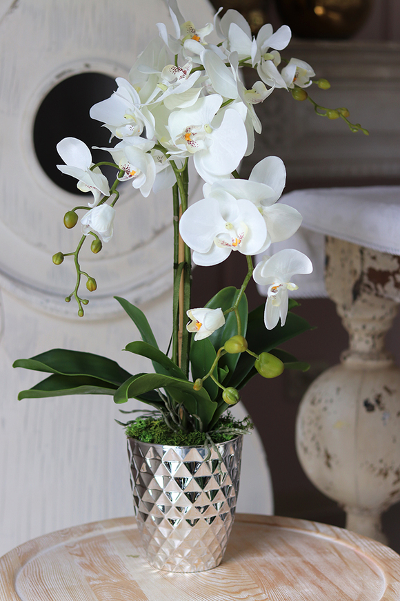 Filano Silver, sztuczny storczyk w srebrnej donicy, wys.60cm