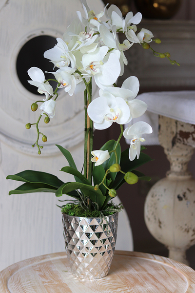 Filano Silver, sztuczny storczyk w srebrnej donicy, wys.60cm