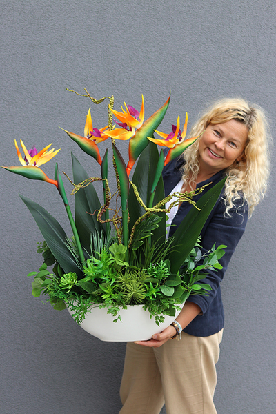 Big Laos Sukulenty & Strelicja Short, egzotyczna kompozycja w białej donicy, wys.82cm