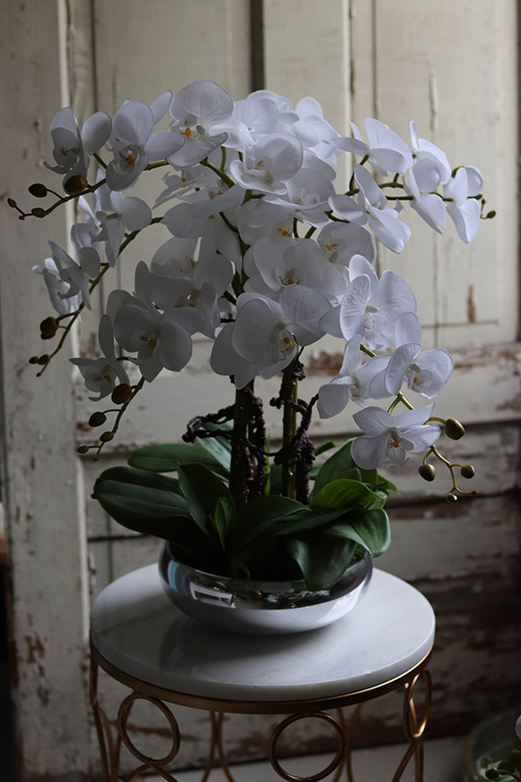 Glass Silver Mirroso, efektowny storczyk w srebrnej misie, wys.61cm 