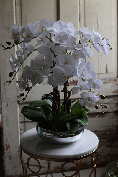 Glass Silver Mirroso, efektowny storczyk w srebrnej misie, wys.61cm 