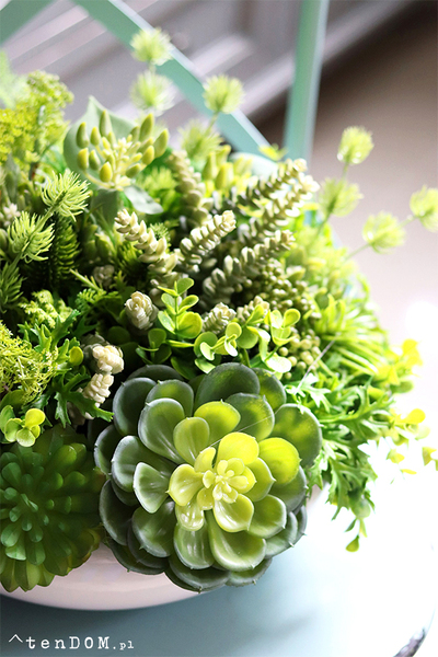 Encarna Gerrano, kompozycja sukulenty w białej misie, wym.25x35cm