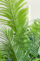 Areca Concrete, wysokiej jakości sztuczna palma w betonowej donicy, wys.190cm