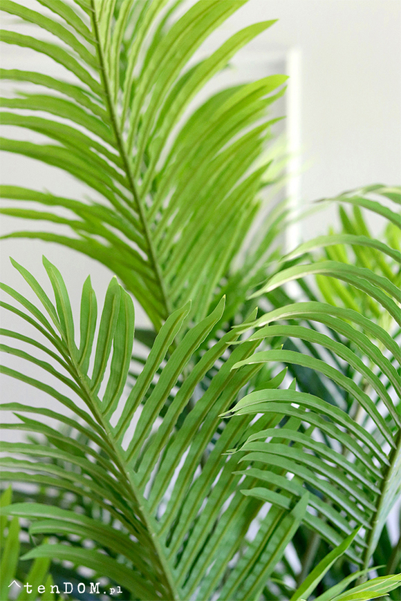 Areca Concrete, wysokiej jakości sztuczna palma w betonowej donicy, wys.190cm
