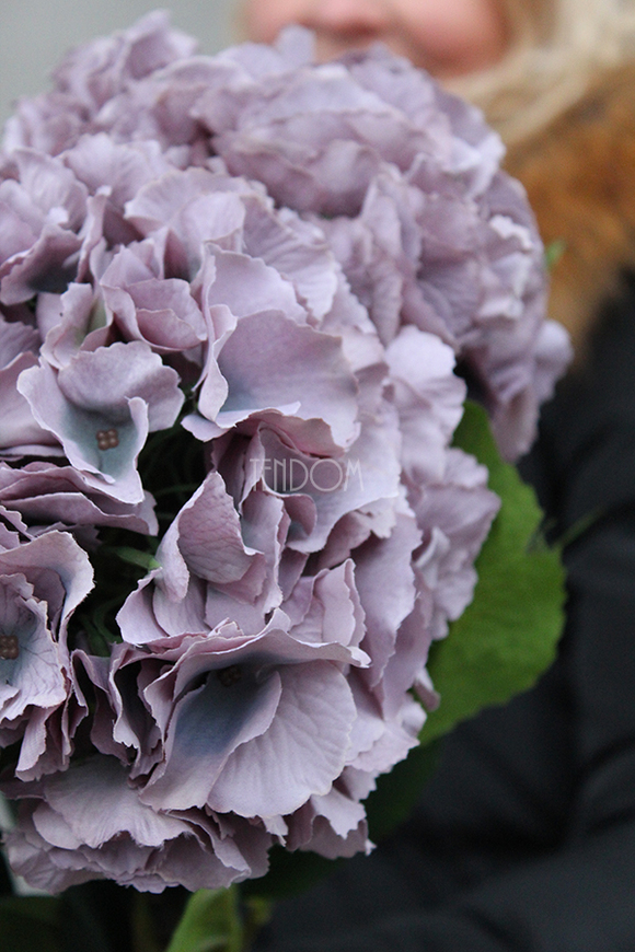 bukiet sinofioletowych hortensji wys.81cm