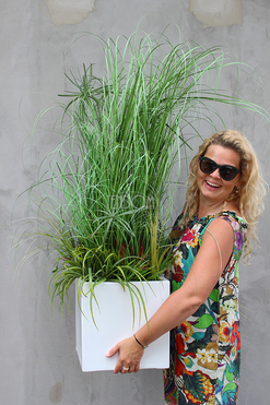 kompozycja Trawy IV Minimalism w białej donicy, wys.110cm