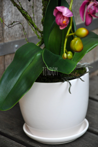 sztuczny storczyk Restretto w kolorze ciemnego brudnego różu, wys.60cm