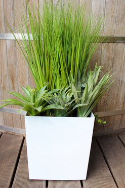 kompozycja Trawy & Sukulenty Duo w sześciennej donicy, wys.76cm